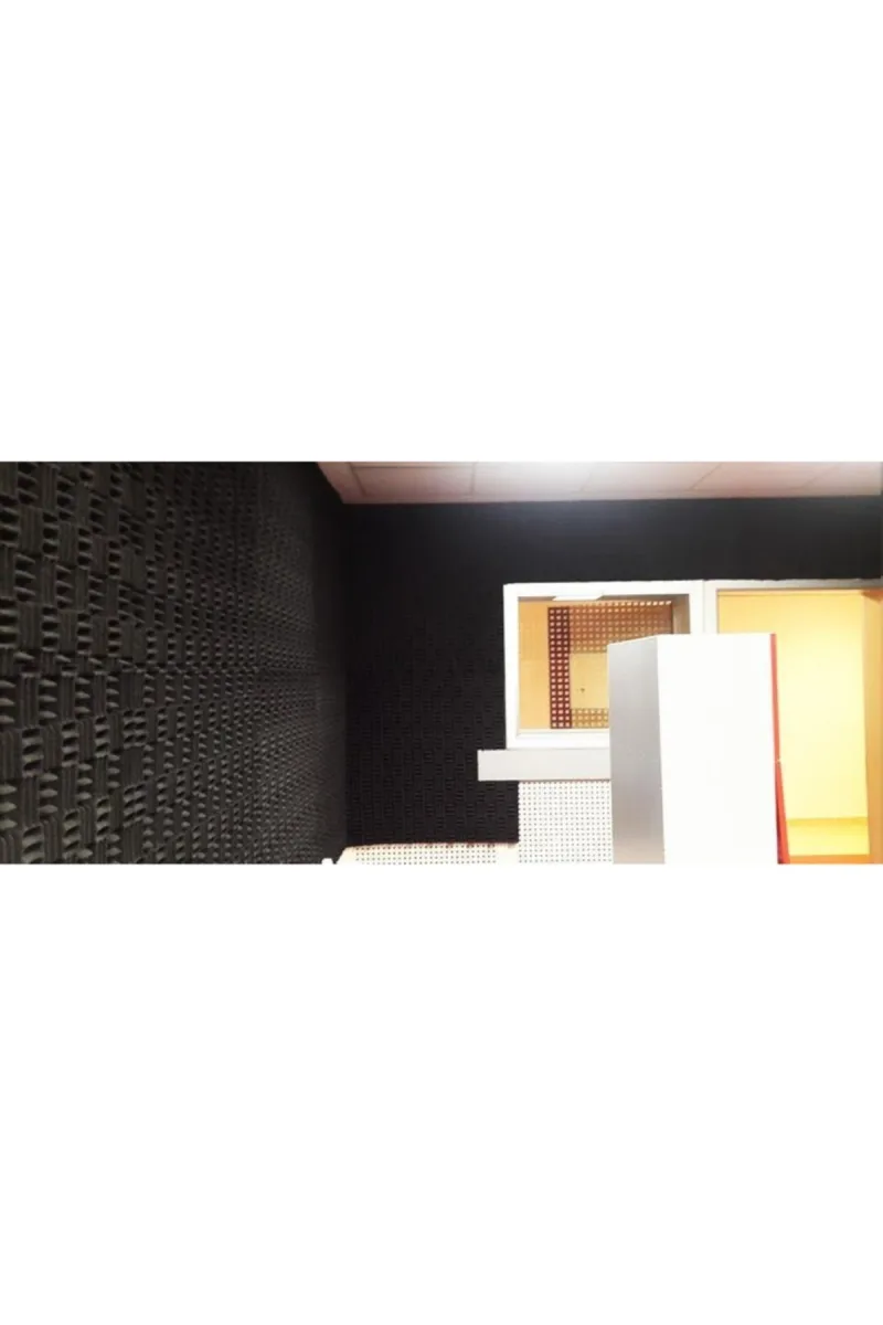 Ebat (100x100) 30 mm Ses Yalıtımı Akustik Yanmaz Sünger