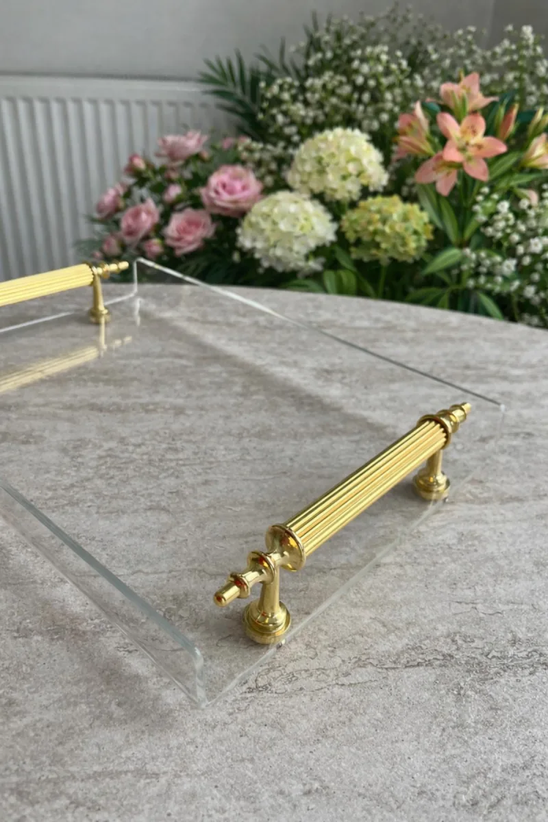 PLEKSİ GOLD KULPLU MİNİ TEPSİ .22X14 cm