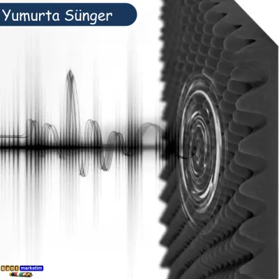 Akustik Yumurta Sünger 50 Dns 25mm 50x50 Cm