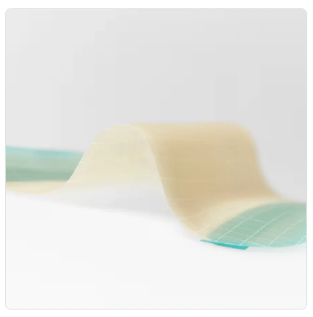 Coloplast Comfeel® Plus – Aljinat Katkılı Hidrokolloid Yara Örtüsü (Daha Hızlı İyileşme)