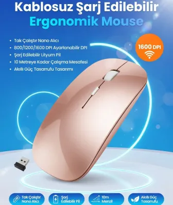 Şarj Edilebilir Kablosuz Mouse Dual Mode 1600 DPI Ergonomik 2.4G Bluetooth cns-gold